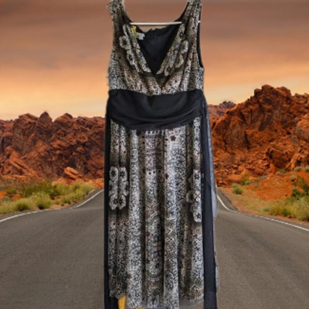 London Times 14P sleeveless lined w/chiffon overlay dress. Party, wedding, date